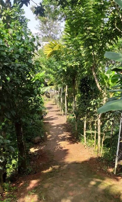 Visitors enjoying a guided spice garden walk in Thekkady